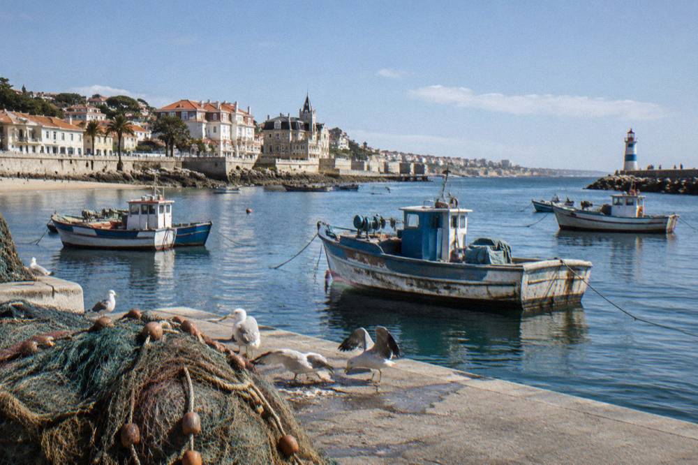 Fishing boats and pastel buildings along Cascais bay under a clear sky